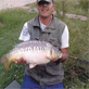Top Pool Carp