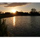Becketts Pool May 11