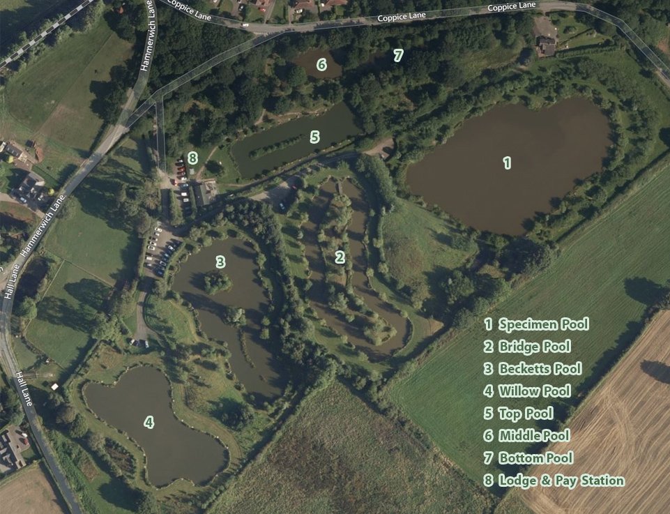 overview