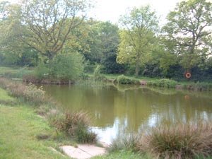 Middle pool