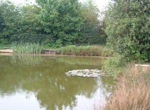 Middle pool